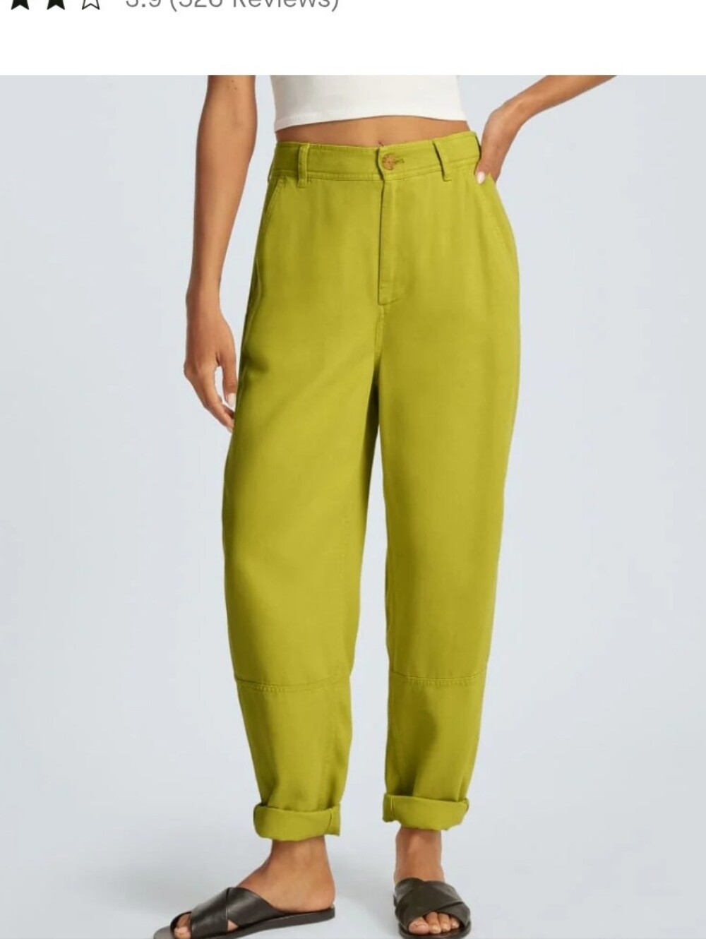 Everlane High-Rise Relaxed Olive Green Chino - Picture 3 of 8